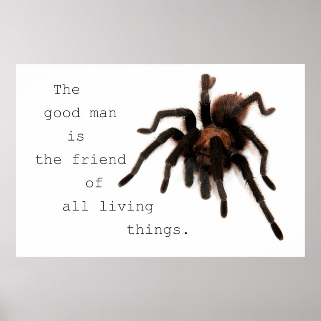 Póster El hombre bueno (Frente)