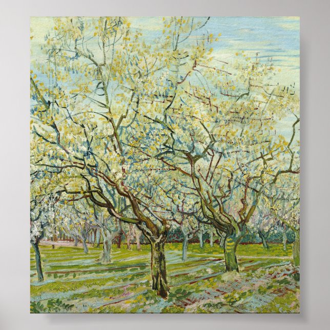 Póster El huerto blanco de Vincent Van Gogh (Frente)