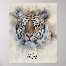 El ilustracion de acuarela Tiger Look