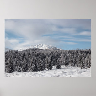 Póster El impresionante paisaje invernal