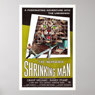 Póster El increíble hombre menguante