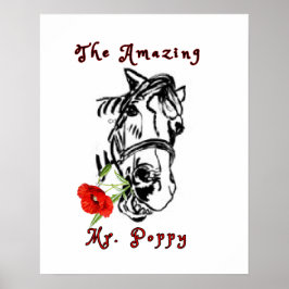 PÓSTER EL INCREÍBLE SR. AMAPOLA