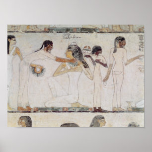 Póster El inodoro de las nobles