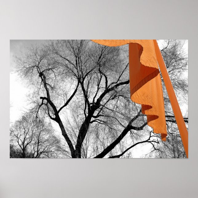 Póster El invierno en el parque (Frente)