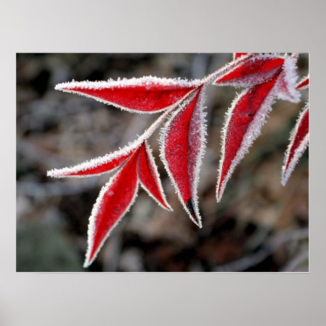 Póster El invierno está cerca (Frente)