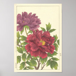Póster El japonés del Peony de Nishimura Hodo florece el