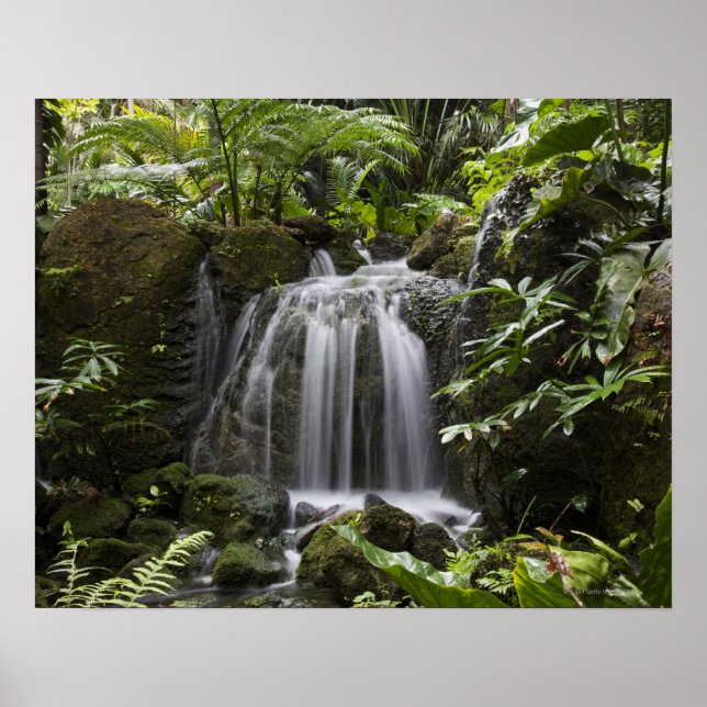 Póster El Jardín Botánico Tropical Fairchild es una 33 ha (Frente)