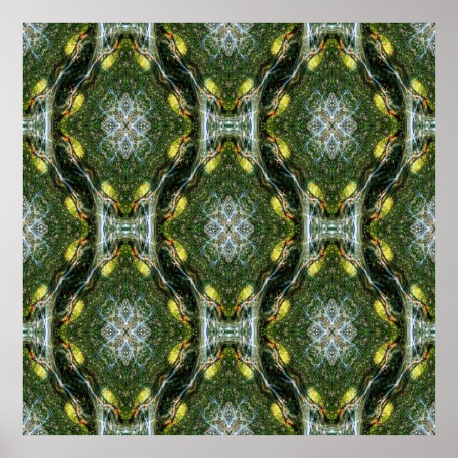 Póster El jardín de encaje de la madrona......... (Frente)