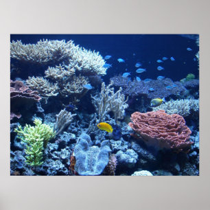 Póster El jardín de Poseidon