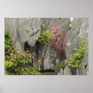 Póster El jardín familiar de Bao, Huangshan, China.