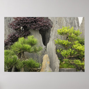 Póster El jardín familiar de Bao, Huangshan, China.2