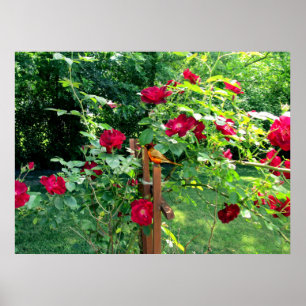 PÓSTER EL JARDÍN ROSA