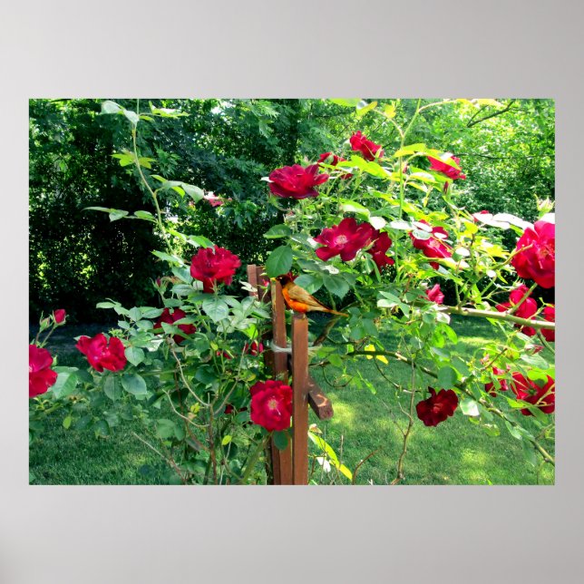 PÓSTER EL JARDÍN ROSA (Frente)