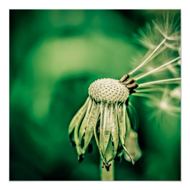 Póster El jefe (Anverso)