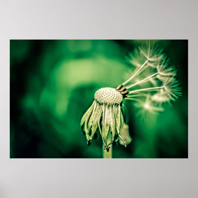 Póster El jefe (Frente)