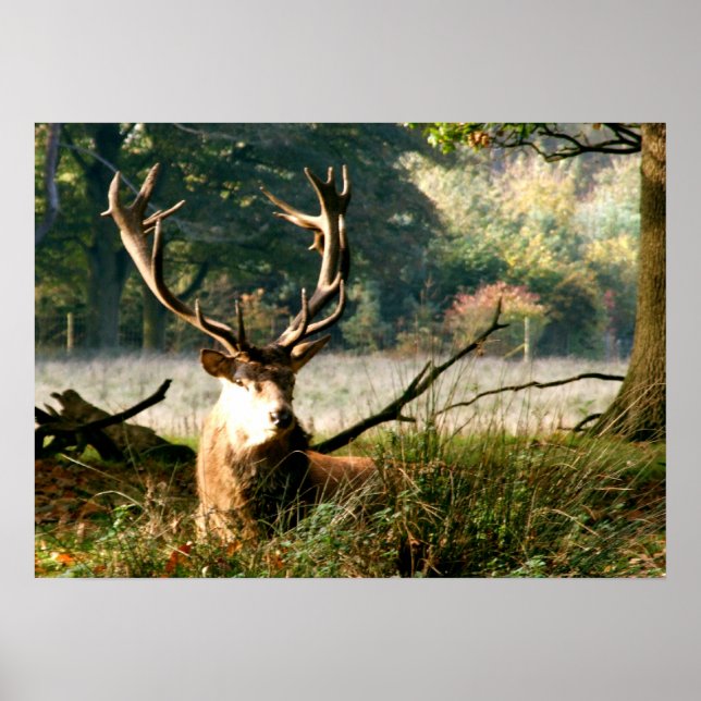 Póster El jefe (Frente)