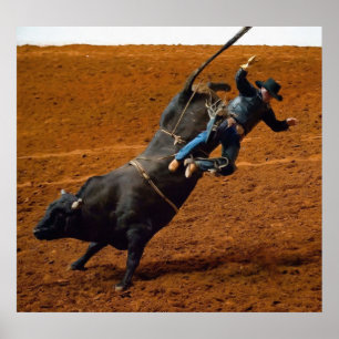 Póster El jinete de Bull
