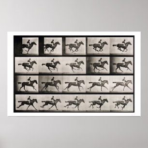 Póster El jinete en un caballo galopante, platea 627 de