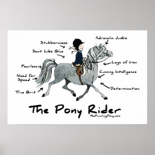 Póster El jinete Pony