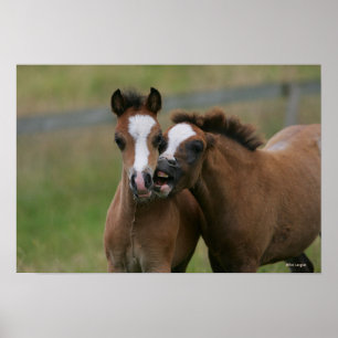 Póster El jugar de los potros