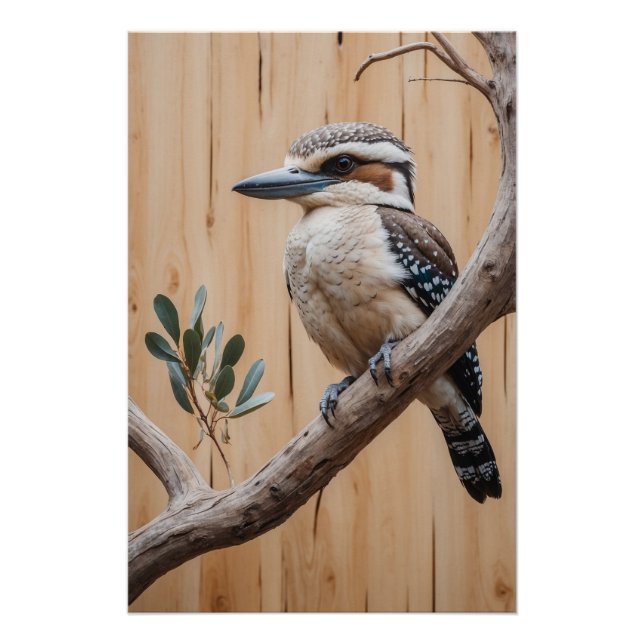 Póster El Kookaburra australiano en un arte de vida salva (Anverso)