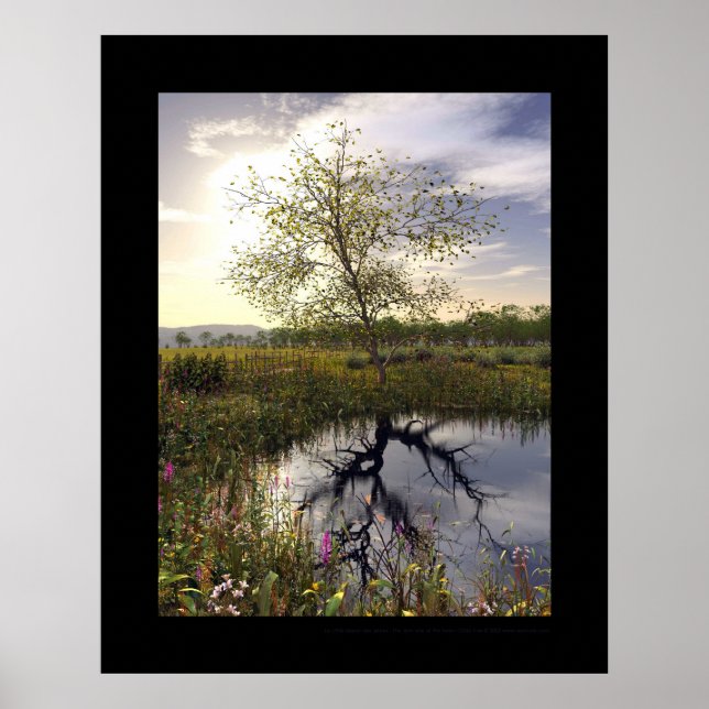 Póster El lado oscuro - el café obscur (Frente)