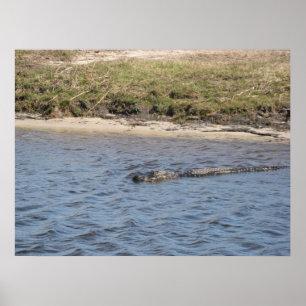 Póster El lagarto en la imprenta de agua