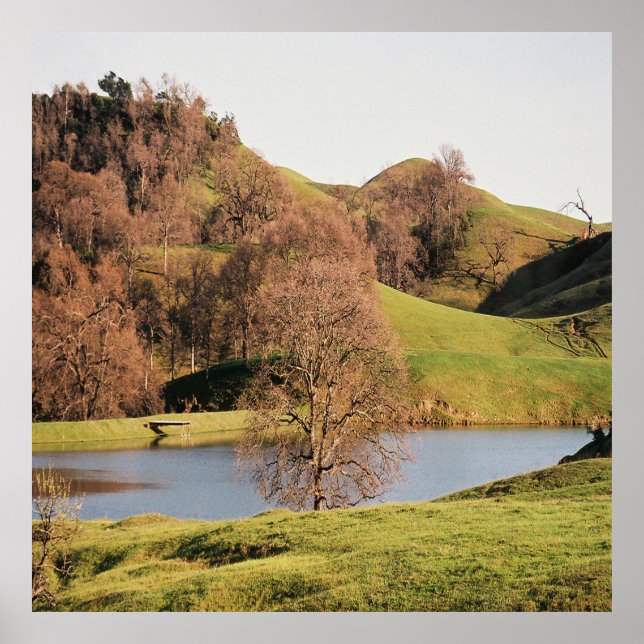 Póster El lago...... (Frente)