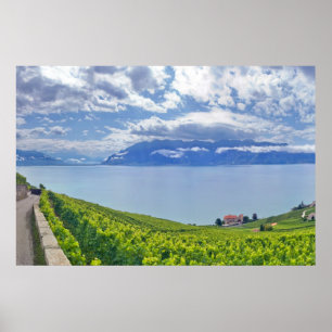 Póster El lago Lemán (laca Léman) 009