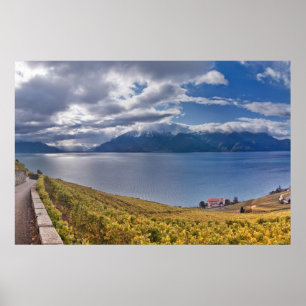 Póster El lago Lemán (laca Léman) 011
