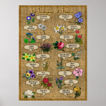 El lenguaje de las flores