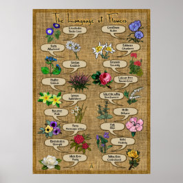 Póster El lenguaje de las flores