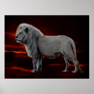 Póster El León Blanco