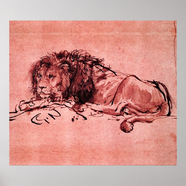Póster EL LEÓN DEL CABO MENTIDO, de Rembrandt Pink Black (Frente)