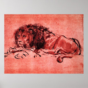 Póster EL LEÓN DEL CAPE ACOSTADO, por Rembrandt Rojo Negr