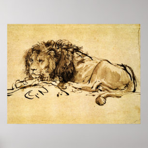 Póster EL LEÓN DEL CAPE ACOSTADO, por Rembrandt Sepia, Ne
