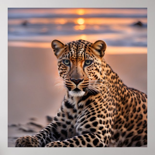Póster El leopardo en la playa (Frente)