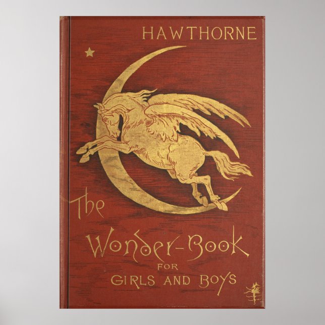 Póster El libro de las maravillas 1884 (Frente)