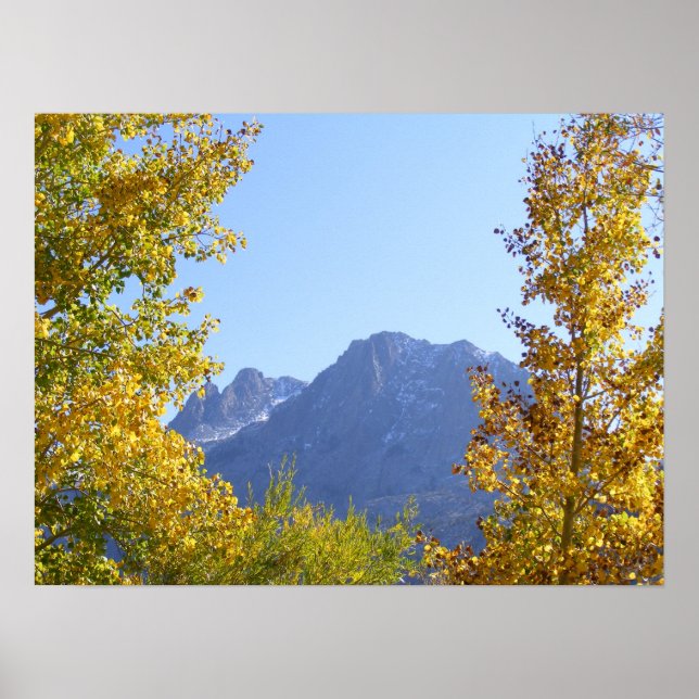 Póster El lienzo de la naturaleza (Frente)