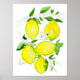 Póster EL Limon