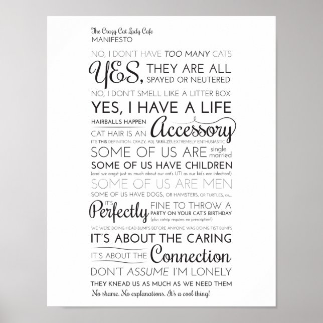 Póster El loco manifiesto de la señora del gato (Frente)