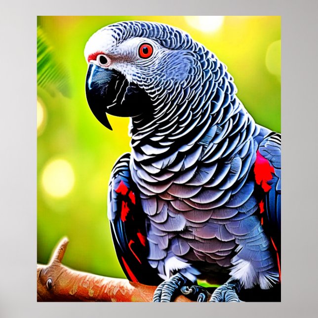 Póster El loro gris africano hablando (Frente)