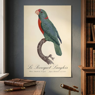 Póster El loro Langlois de Jacques Barraband