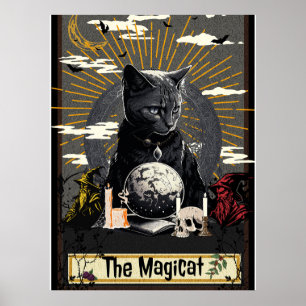 Póster El MagiCat