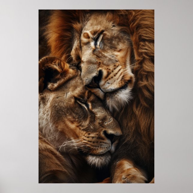 Póster El majestuoso león y el acurrucado fotorealismo St (Frente)