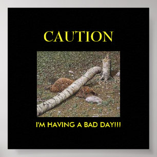 Póster El mal día de Beaver