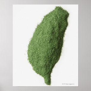 Póster El mapa de Taiwán hizo de hierba