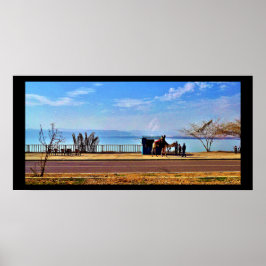 Póster El Mar Muerto