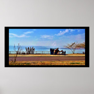 Póster El Mar Muerto