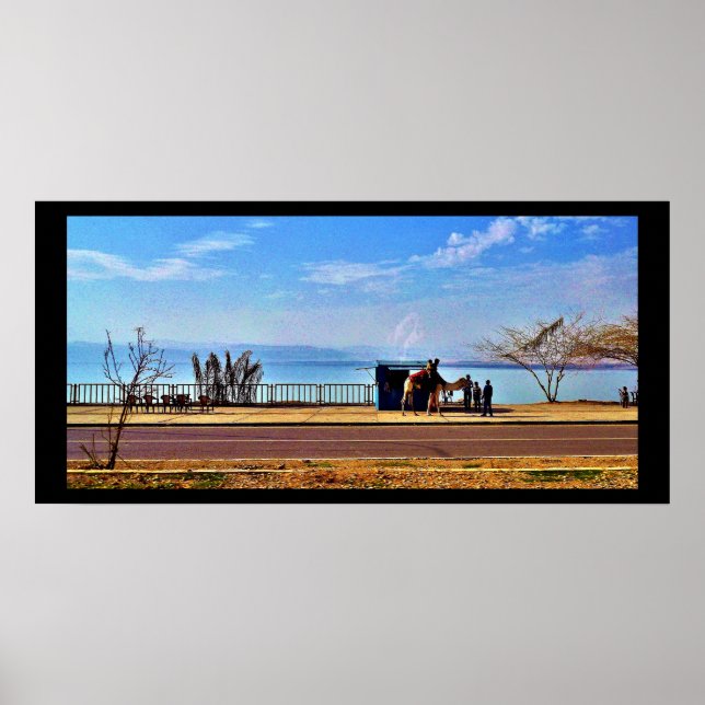 Póster El Mar Muerto (Frente)